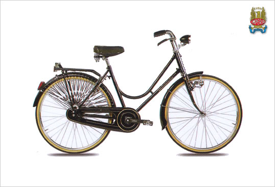 bicicletta scarica